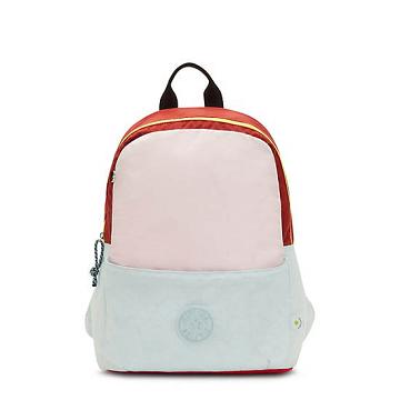 Bolsas Para Portatil Kipling Sonnie 15" Backpack Rosas Grises | MX 1669LI